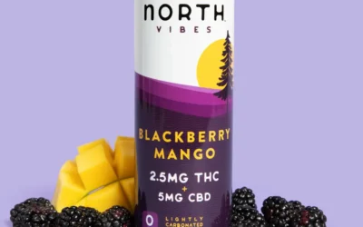 Want to Cut Back on Drinking for 2025? Try using the Best THC Drinks