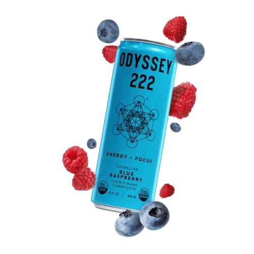 Odyssey || 222 Mushroom Elixir | 12oz