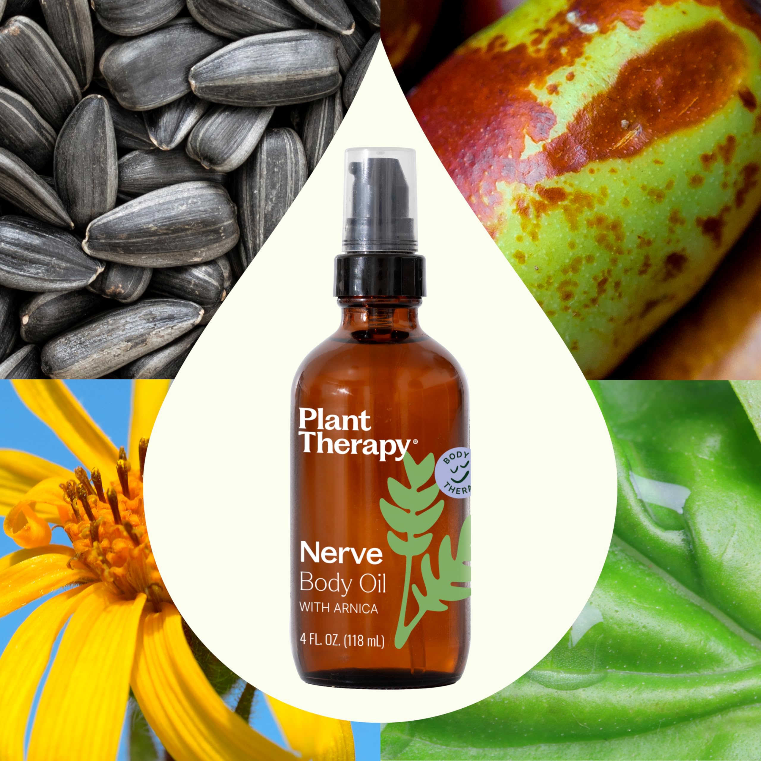 Plant Therapy || Nerve Body Oil + Arnica | 4oz - Image 3