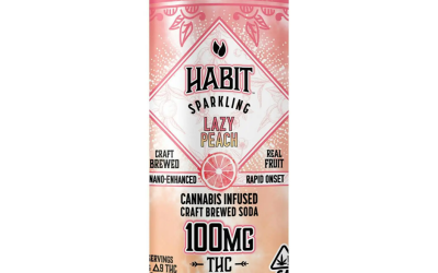 THC Drinks Delivery vs. Traditional Dispensary Visits