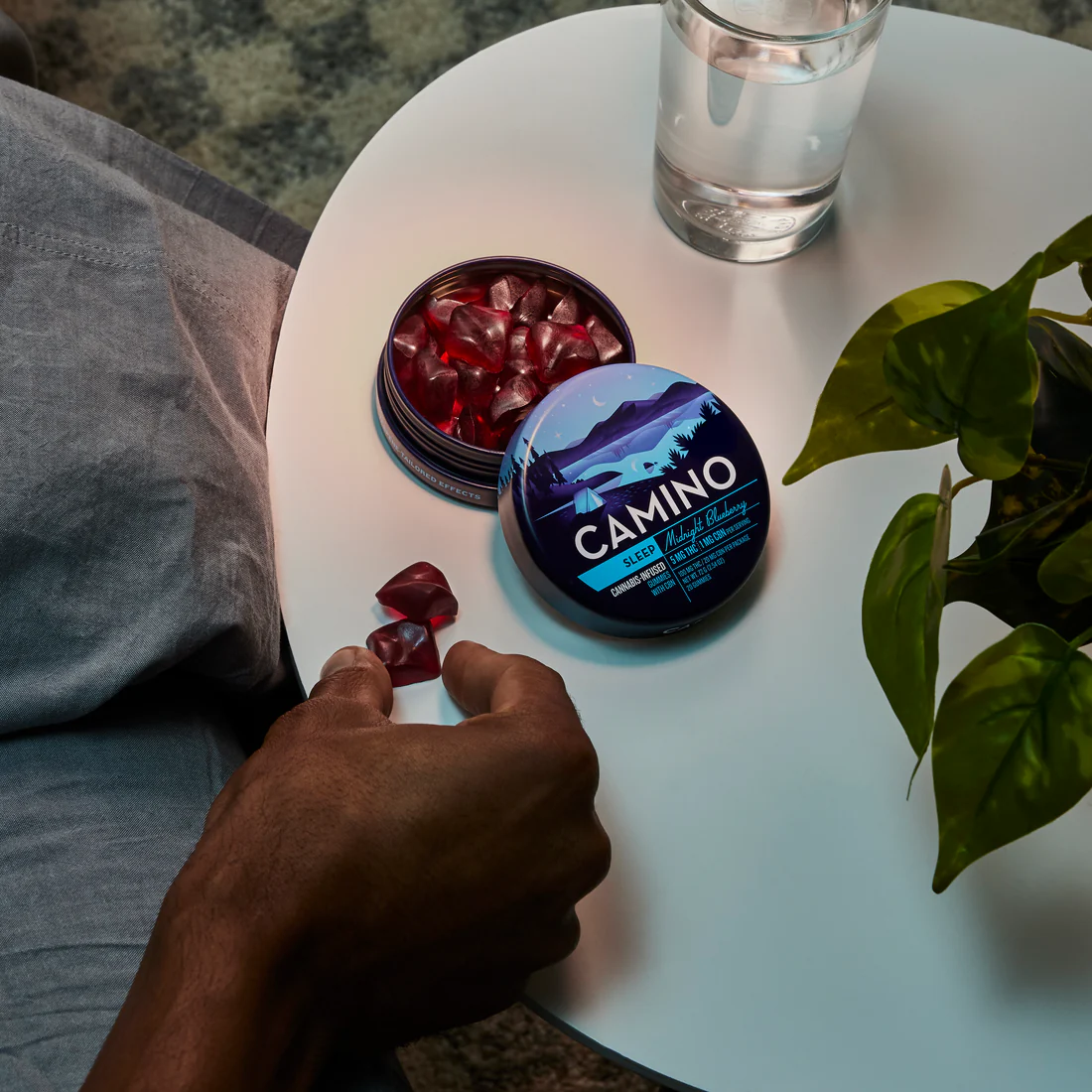 Camino || Delta 9 THC + Cannabinoid Blend Gummies - Image 10