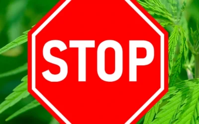 Why SB132 is Not the Solution Bama Needs