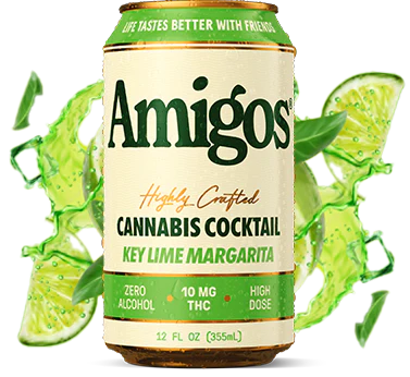 Tillman's Tranquils || Amigos Delta 9 THC Cannabis Cocktail | 10MG - Image 2