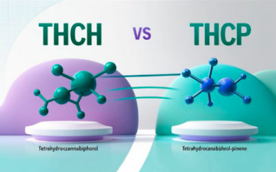 THCh vs. THCp