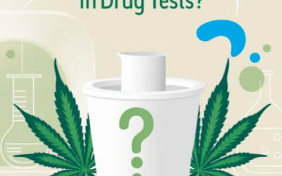 Does THCp Show Up in Drug Tests? A Comprehensive Guide