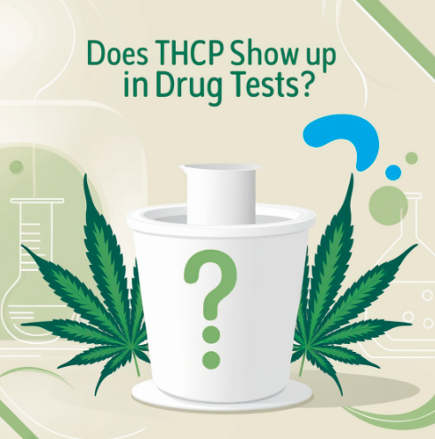 Does THCp Show Up in Drug Tests? A Comprehensive Guide