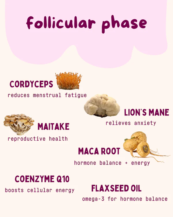Baker's Botanics || Menstrual Cycle Syncing Support Kit - Image 3