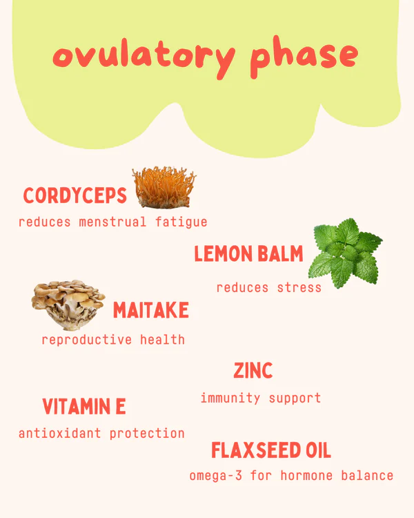 Baker's Botanics || Menstrual Cycle Syncing Support Kit - Image 5