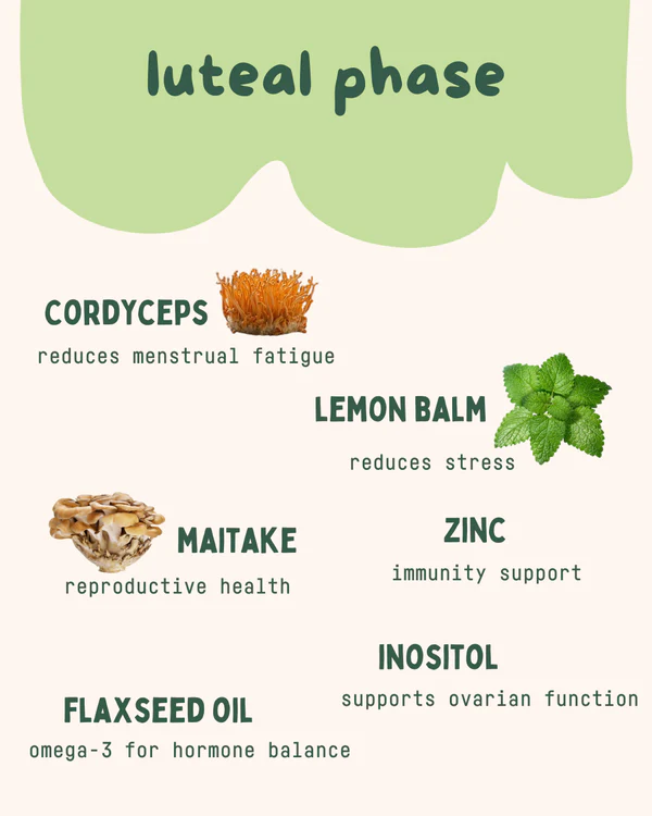 Baker's Botanics || Menstrual Cycle Syncing Support Kit - Image 4