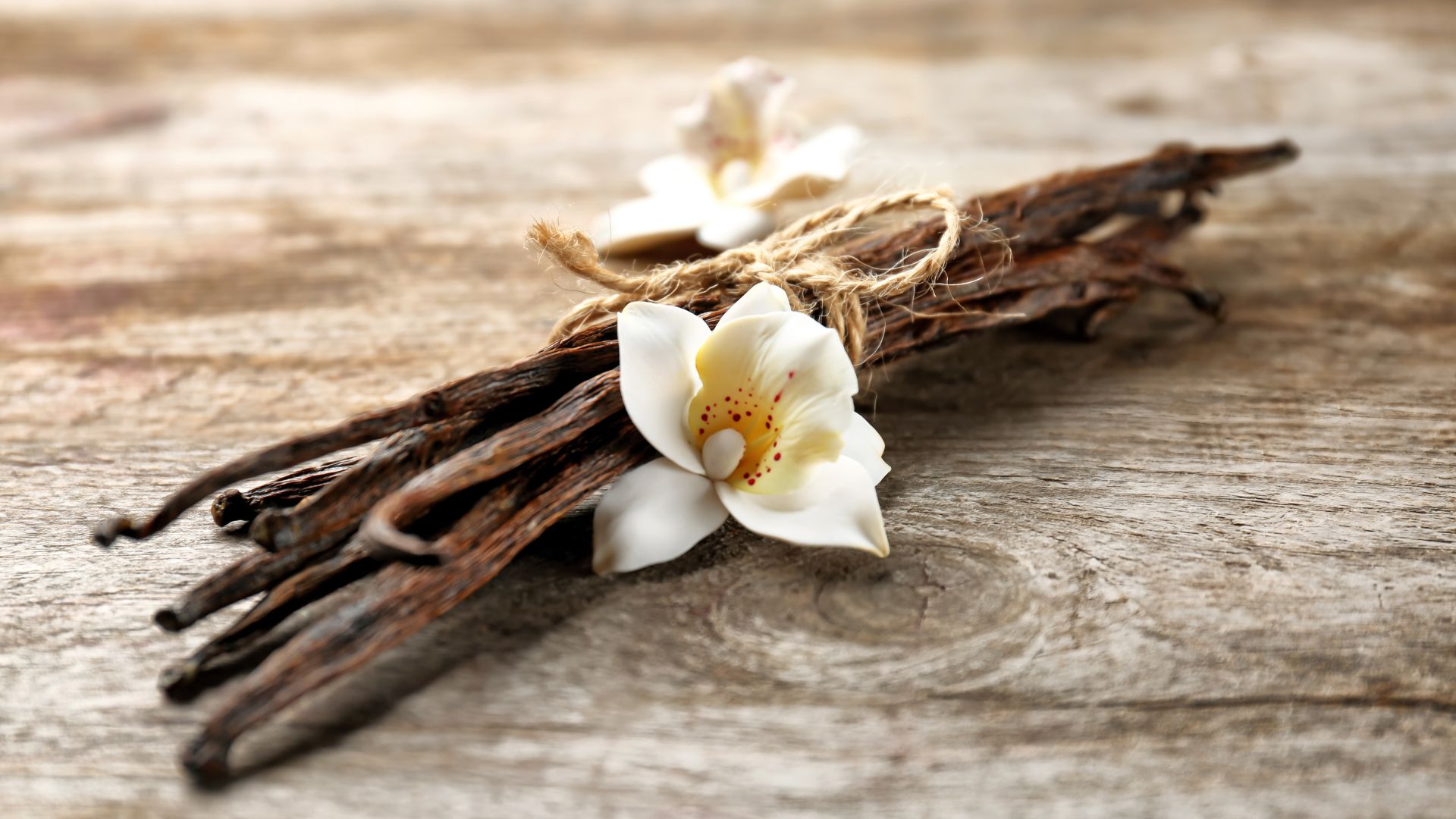 Hectare's || D9 THC+CBD Blood Orange Vanilla Craft Soda | 12oz - Image 3