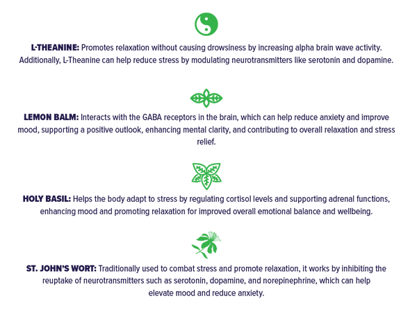 +PlusHLTH || Peace Gummies | Black Raspberry - Image 3