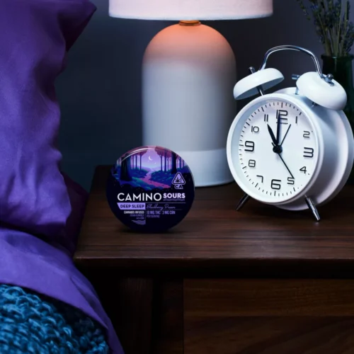 Camino || Delta 9 THC + CBD + CBN Deep Sleep Sour Blackberry Gummies | 10MG