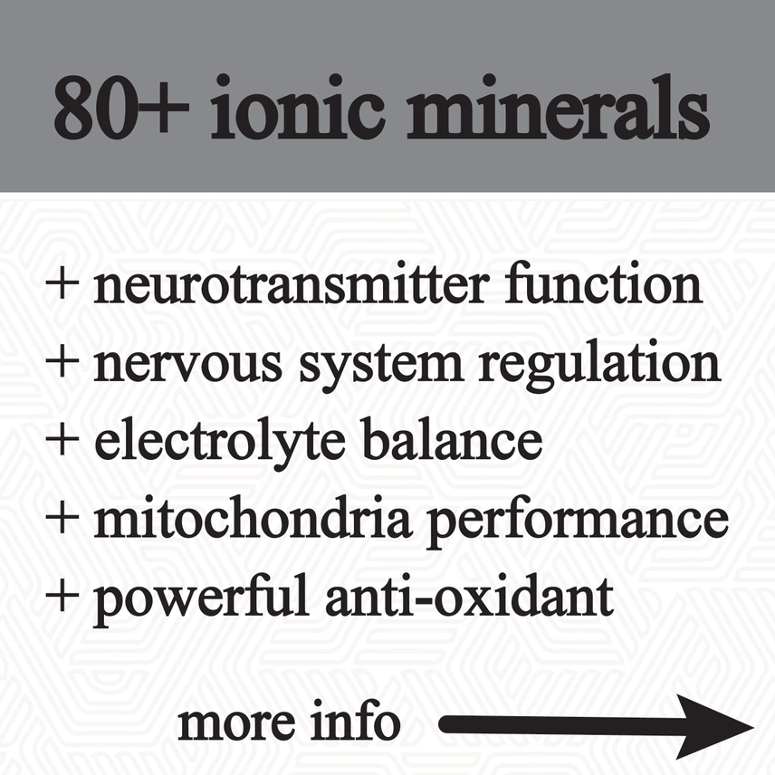 Roots Apothecary || Shilajit Glycerite | 60ML - Image 5