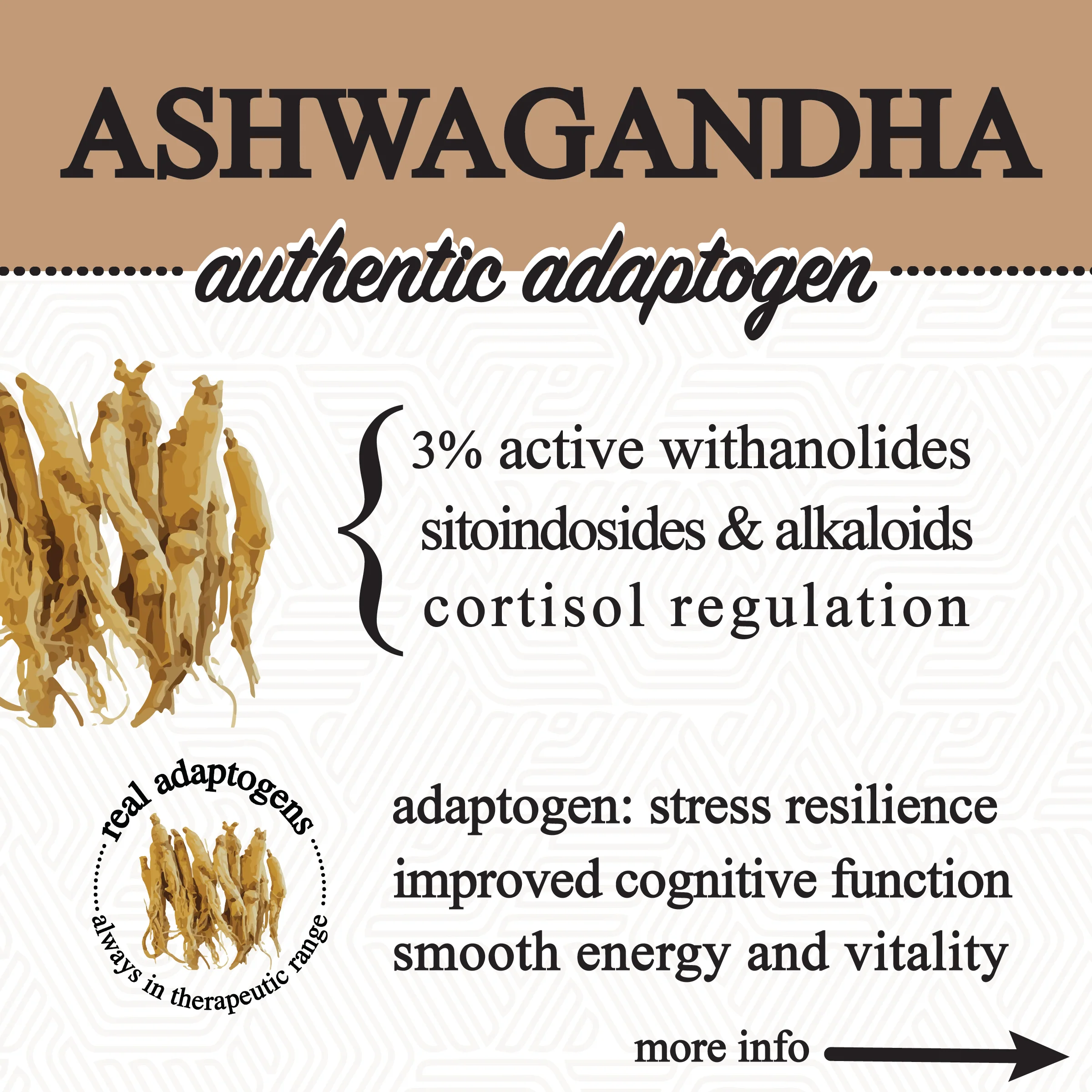 Roots Apothecary || Adaptive Cacao Mushroom + Adaptogen Blend - Image 2