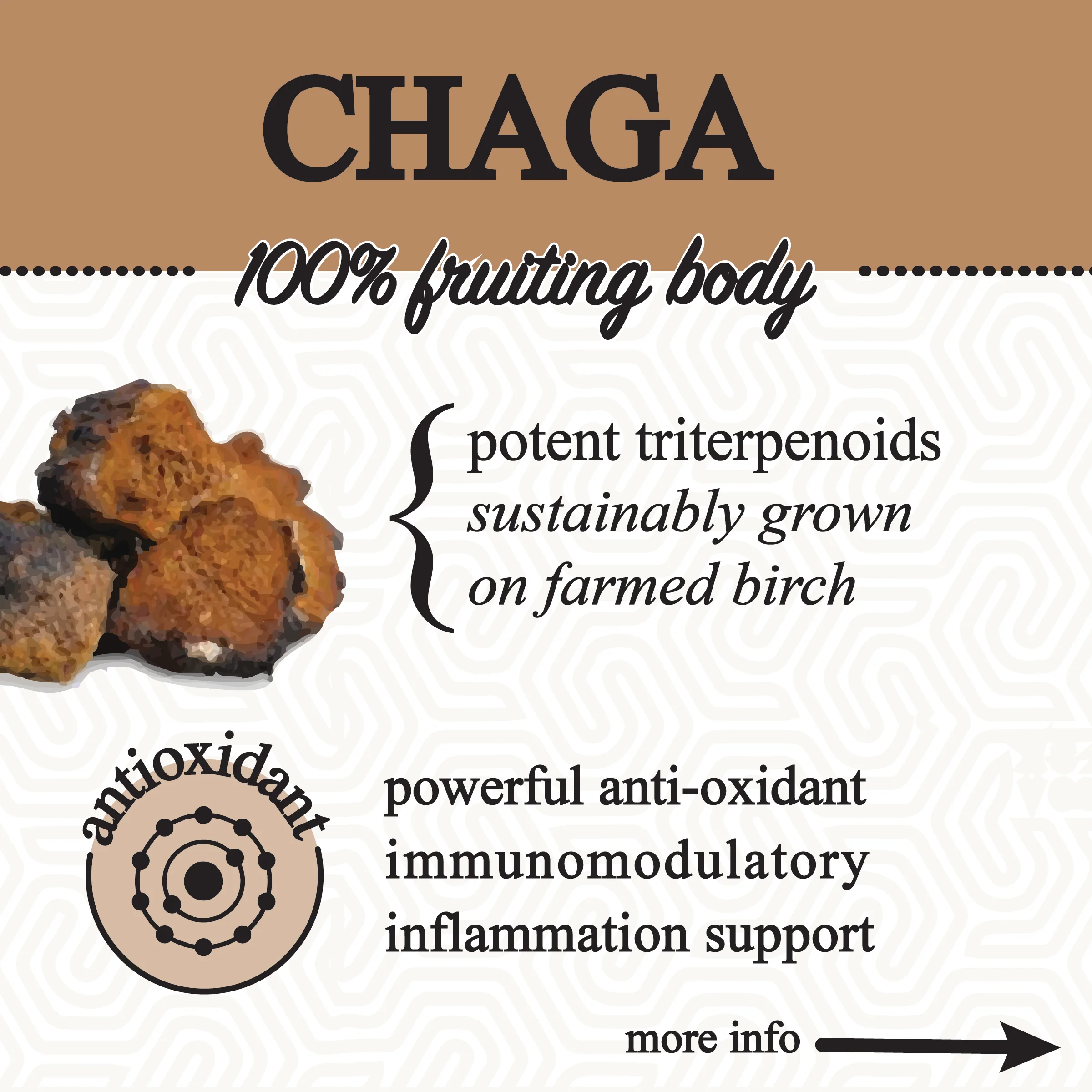 Roots Apothecary || Adaptive Cacao Mushroom + Adaptogen Blend - Image 3