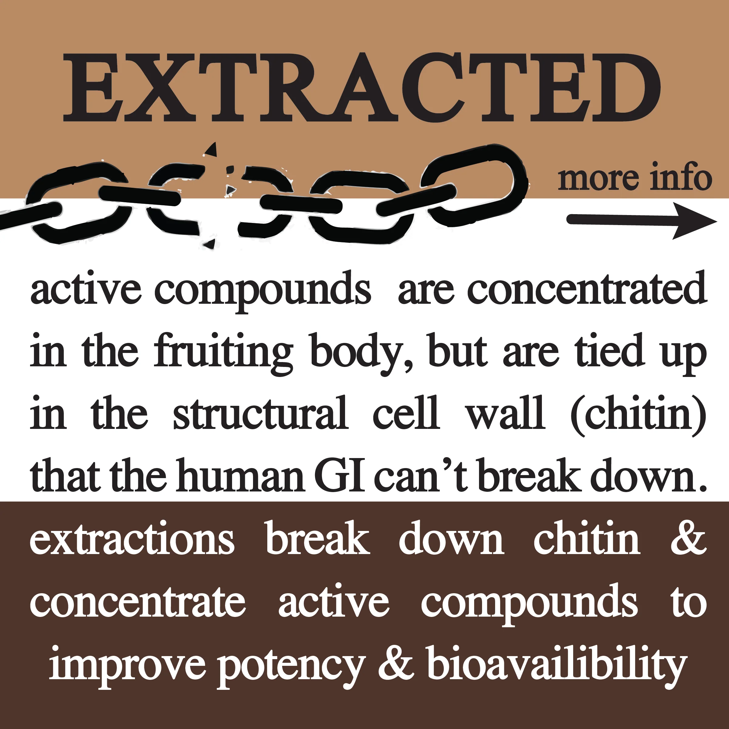 Roots Apothecary || Adaptive Cacao Mushroom + Adaptogen Blend - Image 7