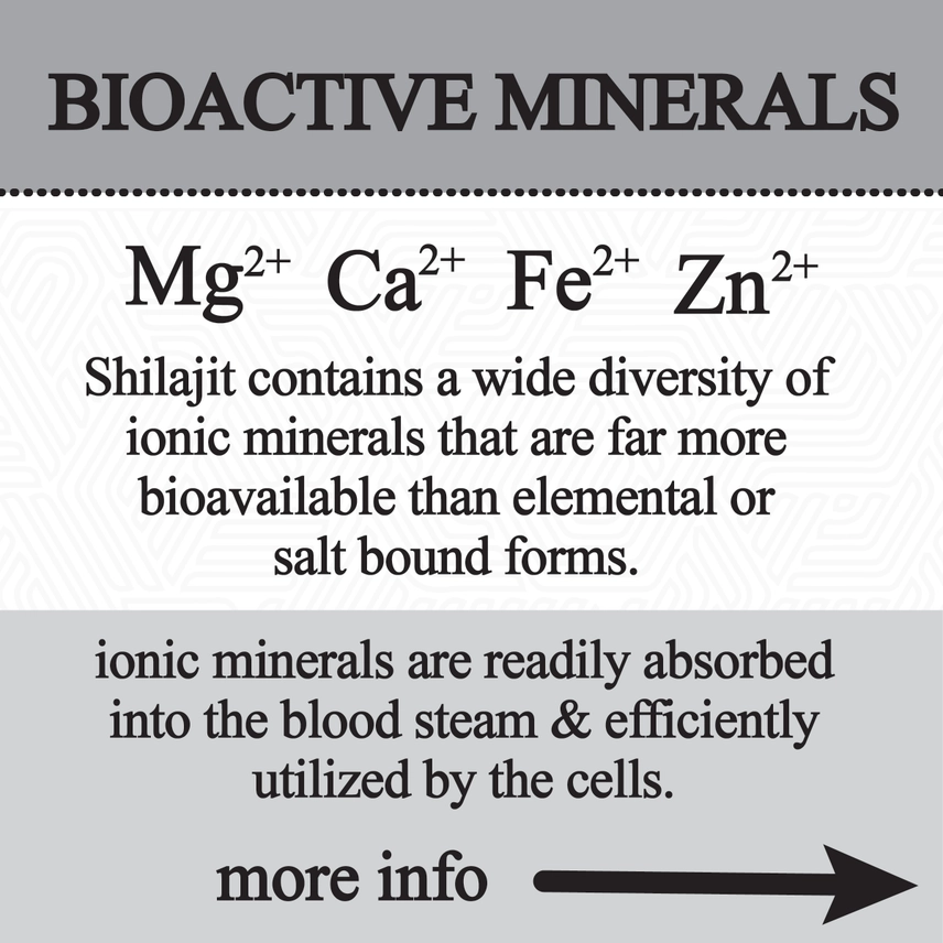 Roots Apothecary || Shilajit Glycerite | 60ML - Image 4