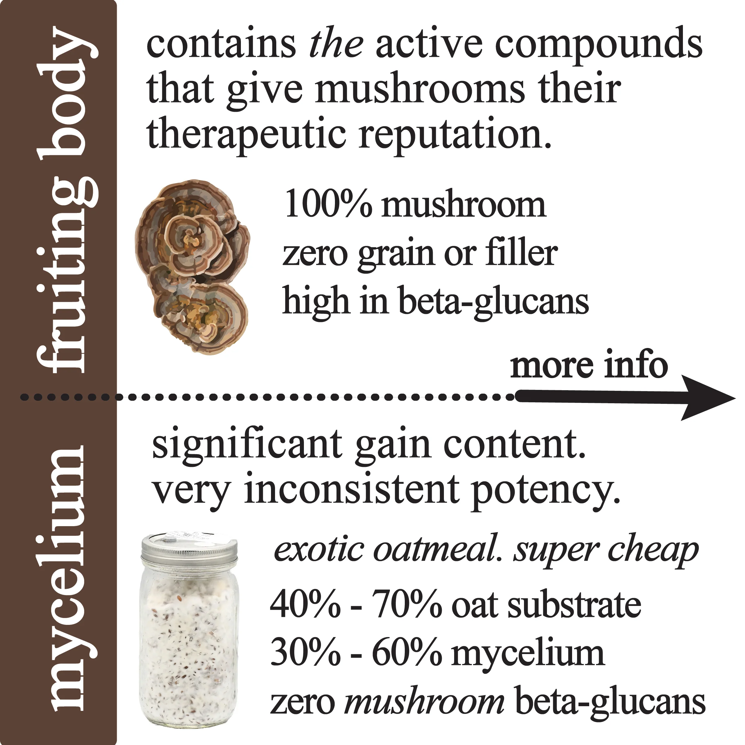 Roots Apothecary || Adaptive Cacao Mushroom + Adaptogen Blend - Image 8