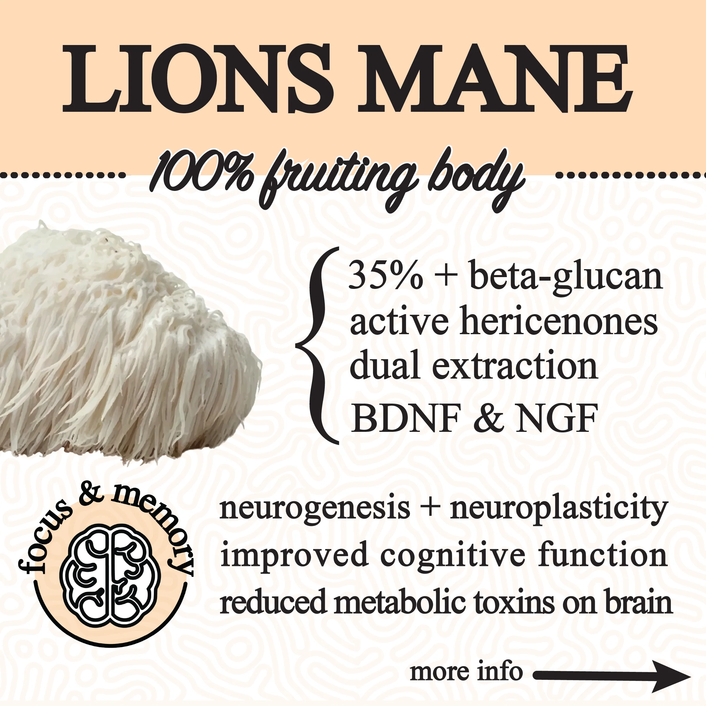 Roots Apothecary || Adaptive Cacao Mushroom + Adaptogen Blend - Image 6