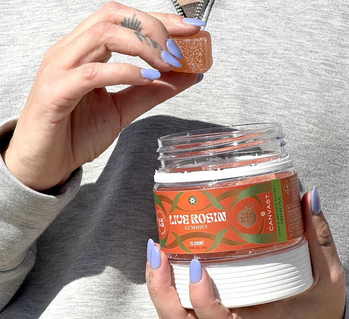 Canvast || Delta 9 THC + CBD Live Rosin Gummy | 25MG - Image 9