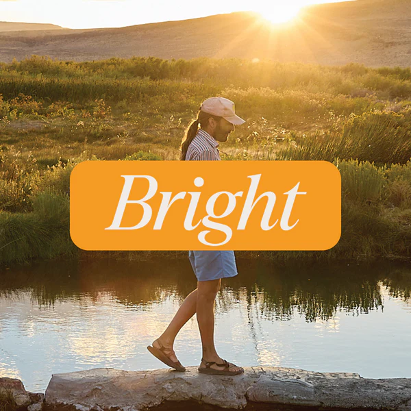 WYLD || Delta 9 THC + CBD Sparkling Water | 2MG - Image 4