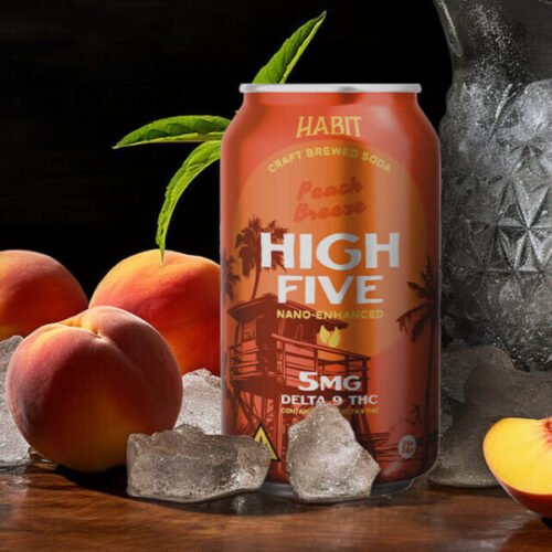 Habit || Delta 9 THC High Five Craft Soda | 5MG