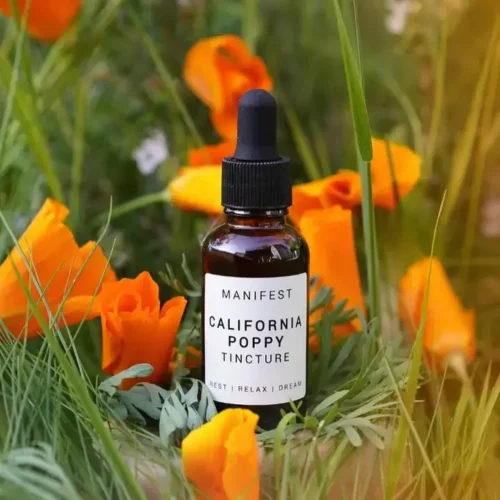 Manifest Botanicals || California Poppy Tincture | 1oz.