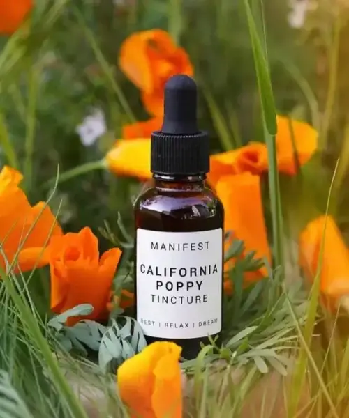 Manifest Botanicals || California Poppy Tincture | 1oz.