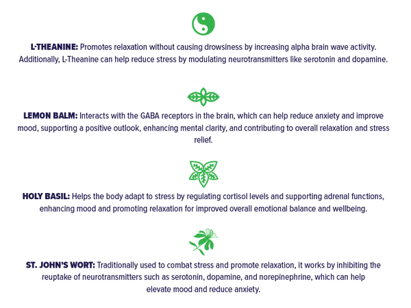 '+PlusHLTH || Peace Gummies | Black Raspberry - Image 3