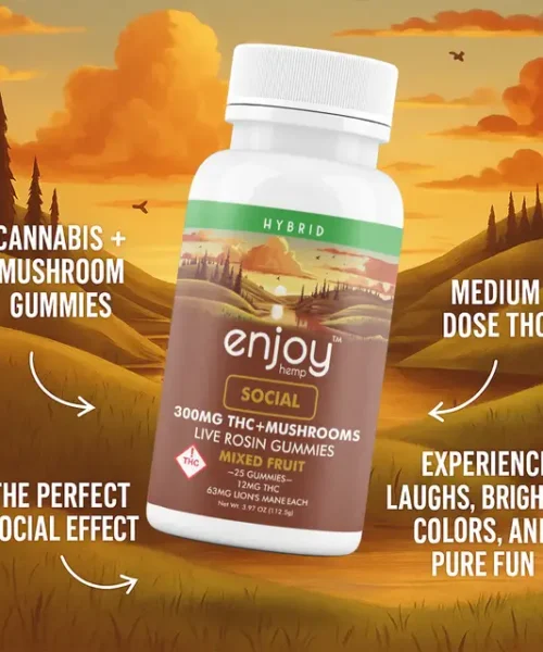 Alternative view of Enjoy Hemp || Delta 9 THC + Lion's Mane Social Gummy | 12MG